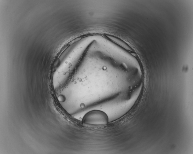X0000115010434200911161604