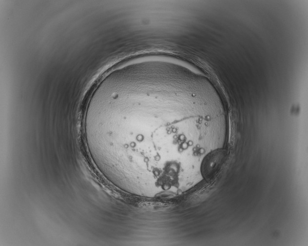 X0000115010435200911161604