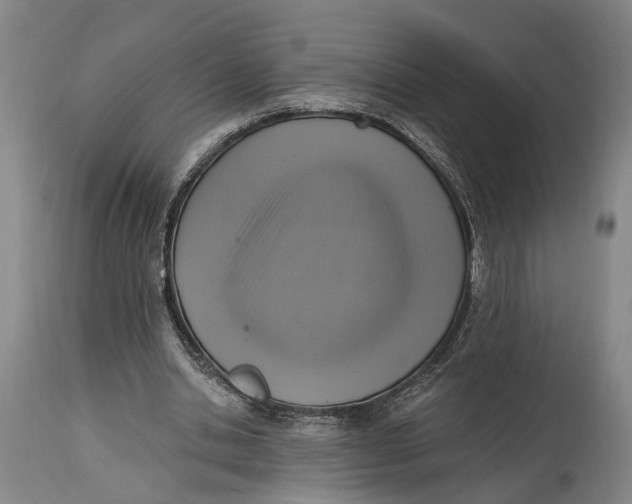X0000115010438200911161604