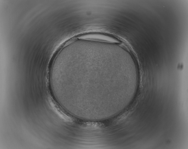 X0000115010439200911161604