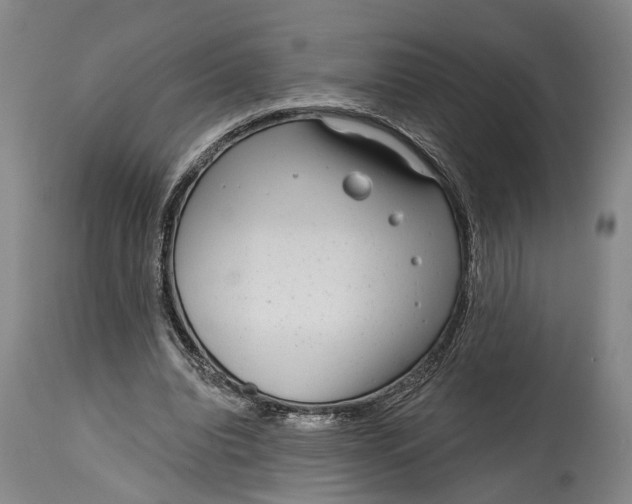 X0000115010440200911161604