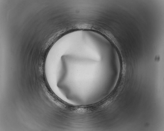 X0000115010441200911161604