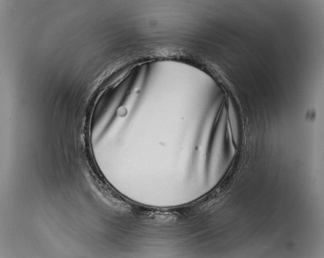 X0000115010443200911161604
