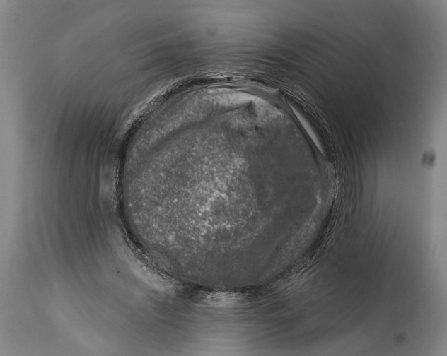 X0000115010444200911161604