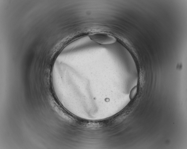 X0000115010445200911161604