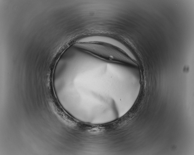 X0000115010447200911161604