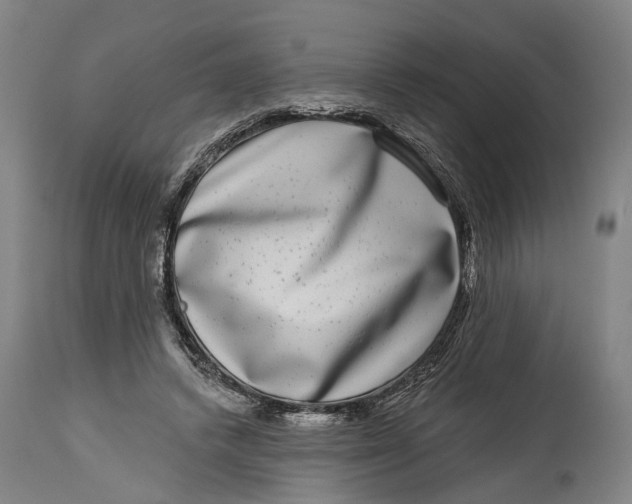 X0000115010448200911161604