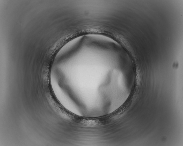 X0000115010449200911161604