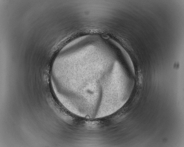 X0000115010450200911161604