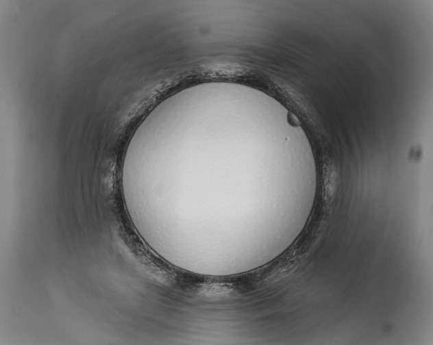 X0000115010451200911161604