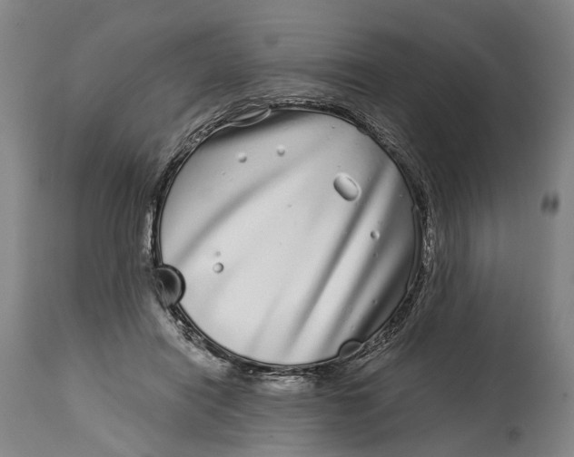 X0000115010454200911161604