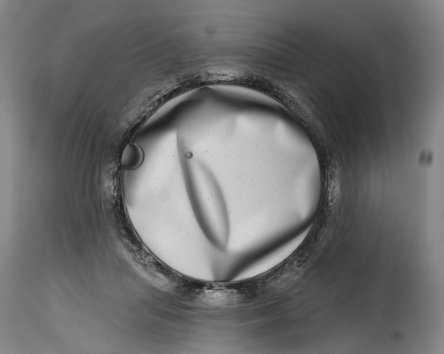 X0000115010455200911161604
