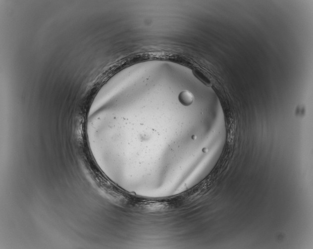X0000115010456200911161604