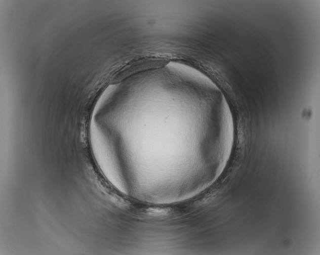 X0000115010457200911161604