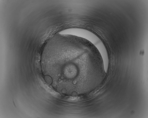 X0000115010458200911161604