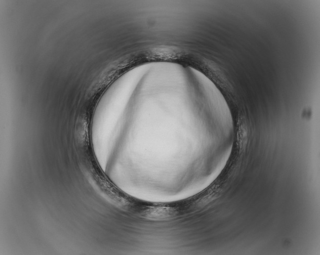 X0000115010459200911161604