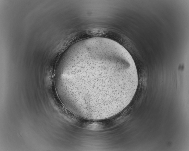 X0000115010460200911161604