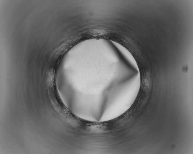 X0000115010468200911161605