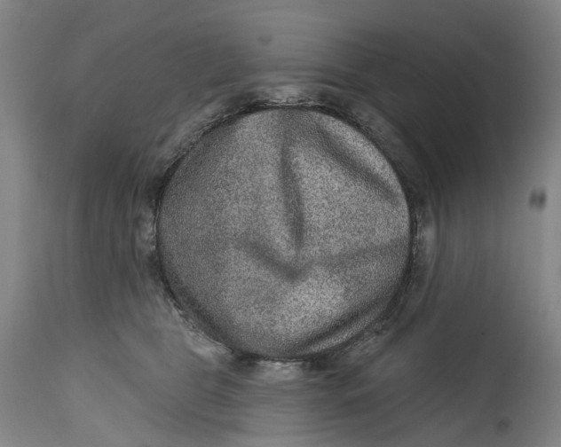 X0000115010469200911161605