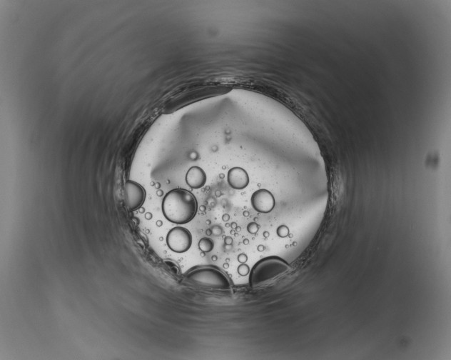 X0000115010470200911161605