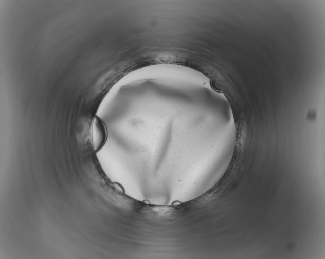 X0000115010478200911161605