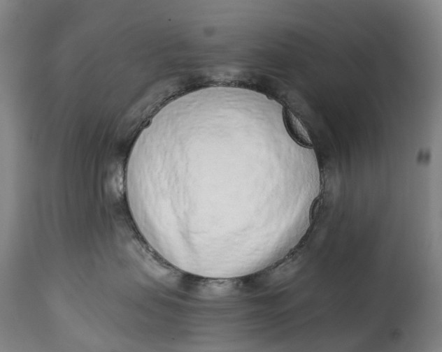 X0000115010479200911161605