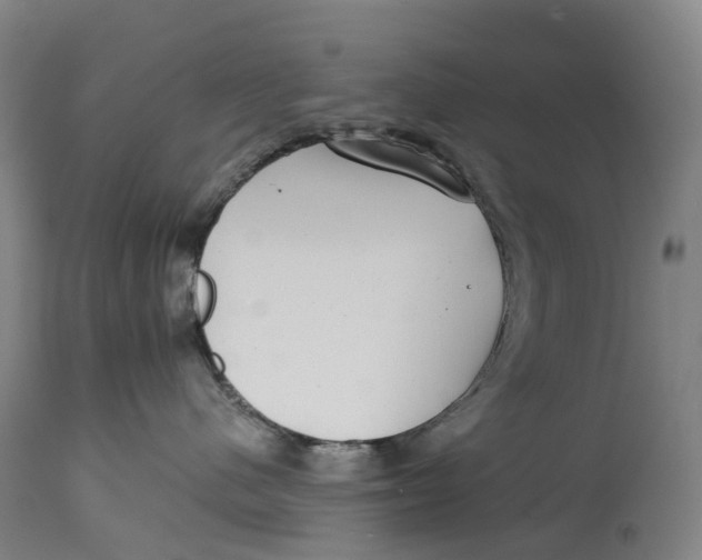 X0000115010480200911161605