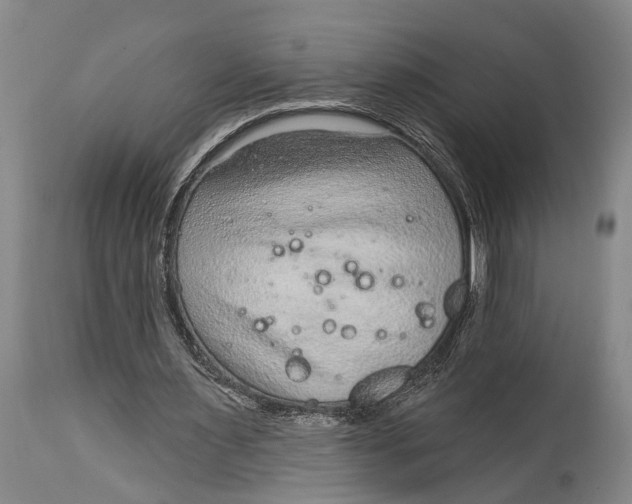 X0000115010483200911161604
