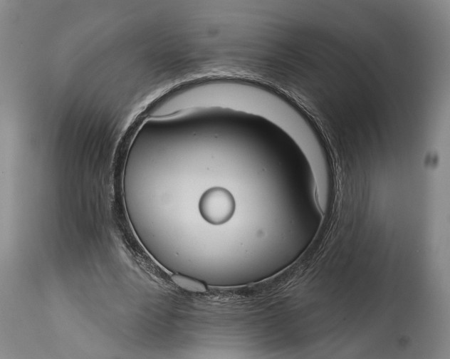X0000115010488200911161604