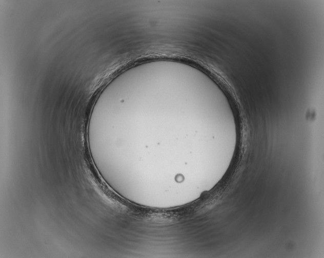 X0000115010489200911161604