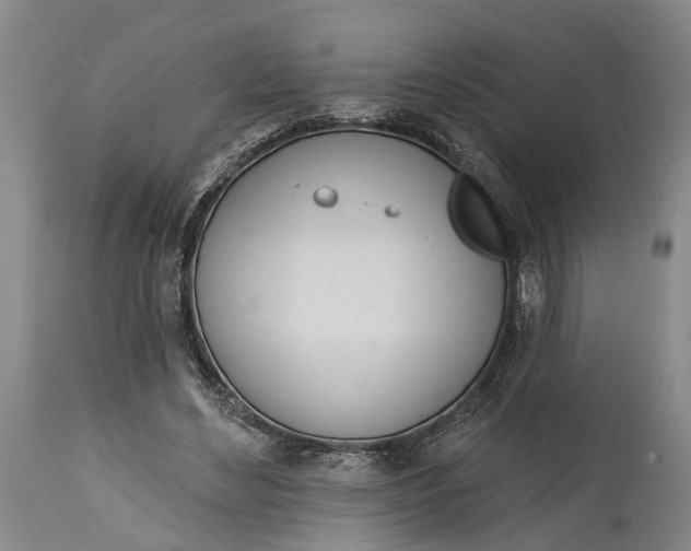 X0000115010492200911161604
