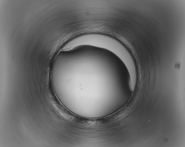 X0000115010493200911161604