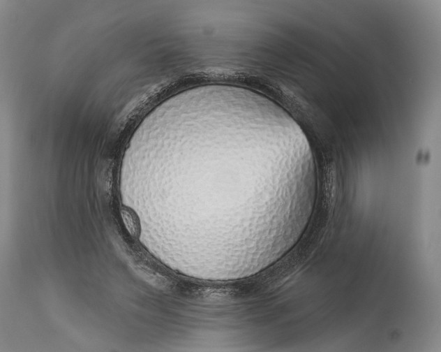 X0000115010495200911161604