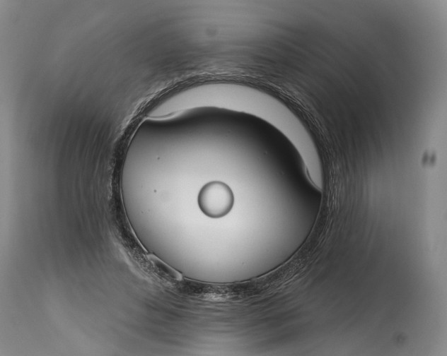 X0000115010496200911161604
