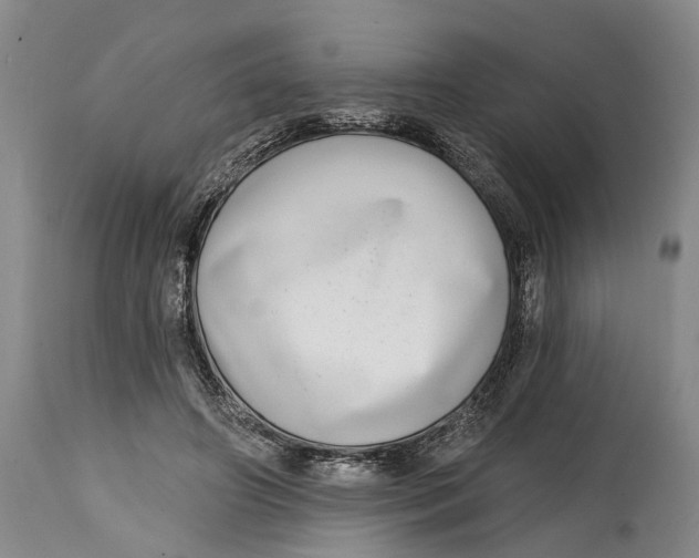 X0000115010498200911161604