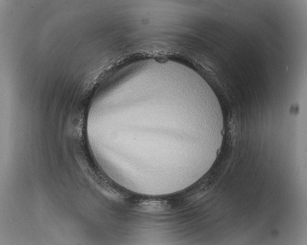 X0000115010499200911161604