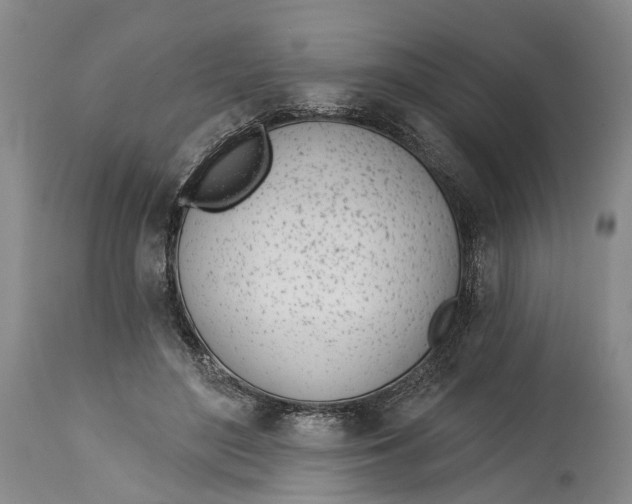 X0000115010500200911161604