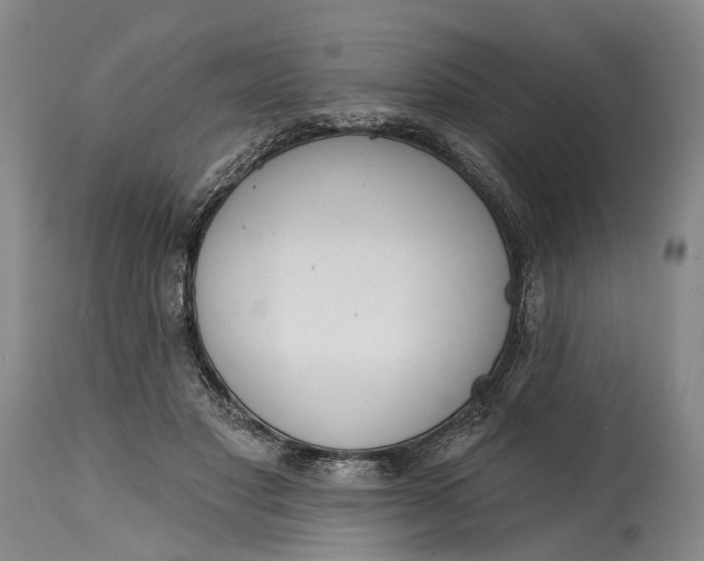 X0000115010501200911161604