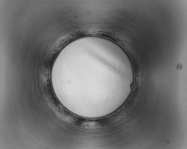 X0000115010503200911161604