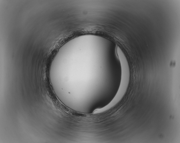 X0000115010504200911161604