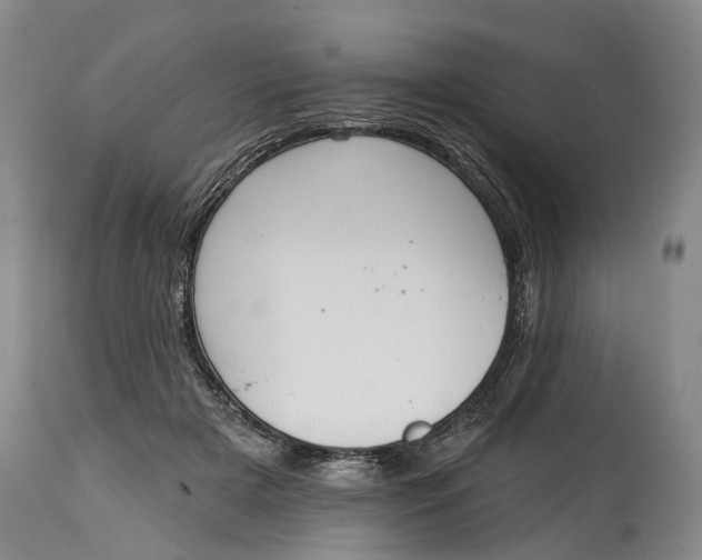 X0000115010505200911161604