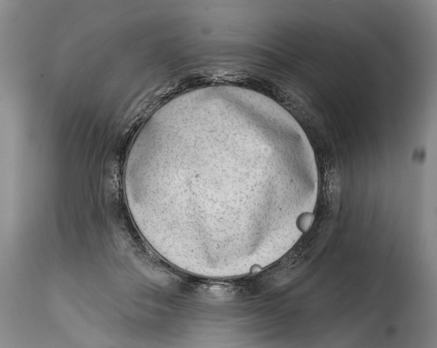 X0000115010506200911161604