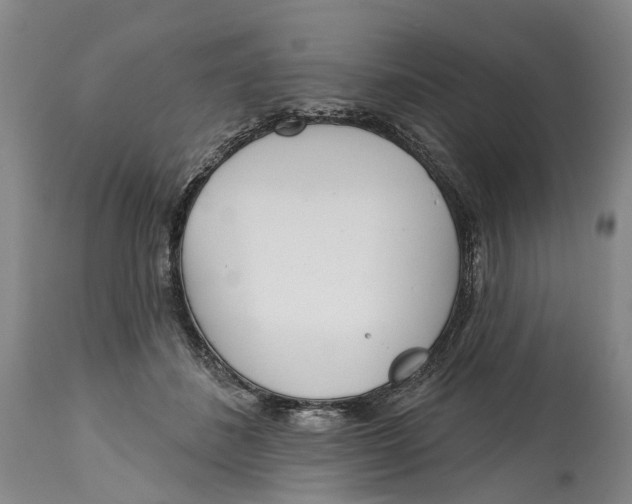 X0000115010508200911161604