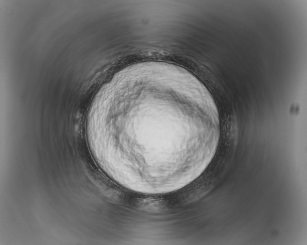 X0000115010511200911161604