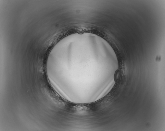 X0000115010512200911161604