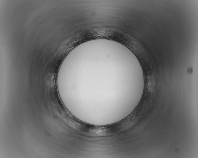 X0000115010514200911161604