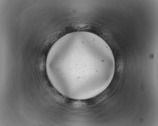 X0000115010515200911161604