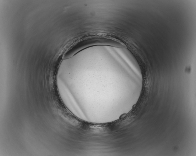 X0000115010516200911161604