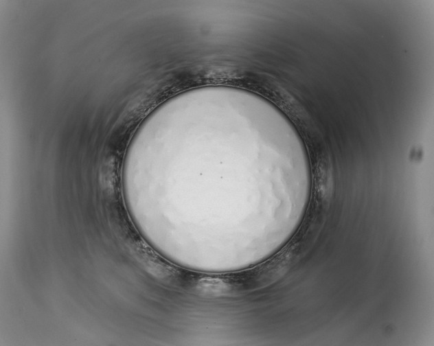X0000115010519200911161604