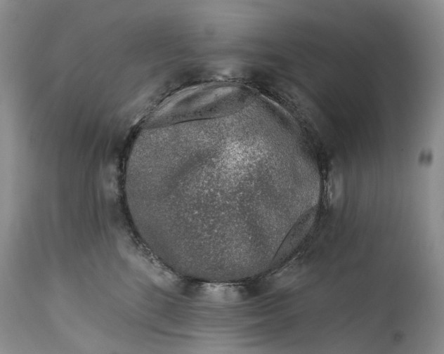 X0000115010520200911161603
